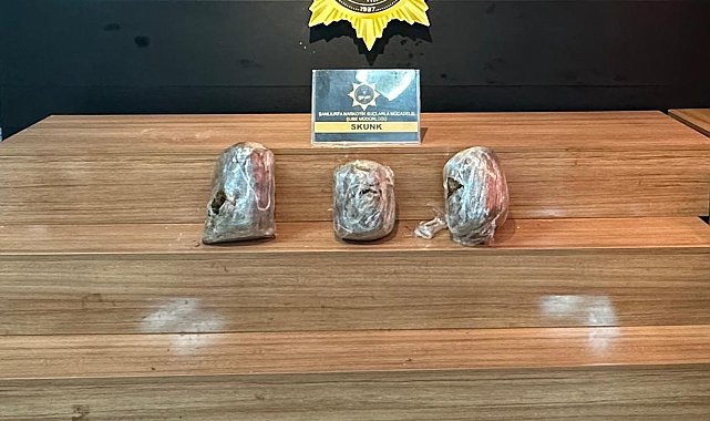 Şanlıurfa'da uyuşturucu operasyonlarına 12 tutuklama