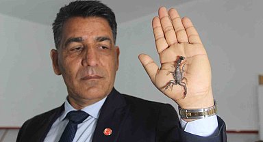 Şanlıurfalı akrep üreticisinden, bakanlığın Anadolu akreplerini koruma kararına destek