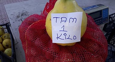 Sarıgöl'de limon ayva üretimi yaygınlaşıyor
