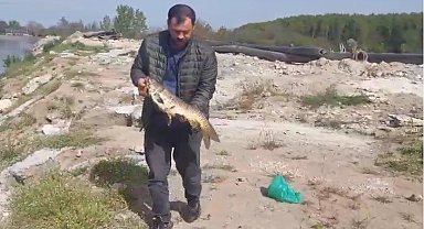 Sazanı ekskavatörle kurtarıp serbest bıraktı