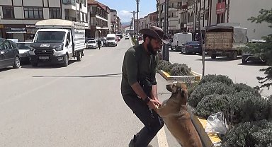 Seyyah Ömer, 'Yoldaş' ile 63. durağı olan Yozgat'ta fidan dikti
