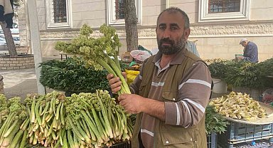 Şifa deposu ışkın, tezgahtaki yerini aldı
