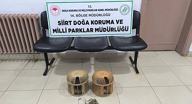 Siirt'te keklik avına 111 bin 855 lira ceza