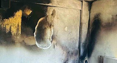 Siirt'te sobadan çıkan kıvılcımlar evi küle çevirdi