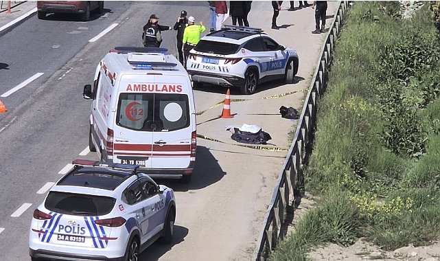 Silivri'de geri manevra yapan tır yaşlı adama çarptı
