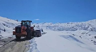 Şırnak'ta kar 25 santimi geçti