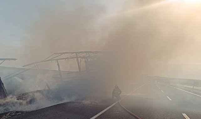 Şırnak'ta seyir halindeki tır alevlere teslim oldu