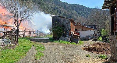 Sobadan çıkan yangın evi küle çevirdi