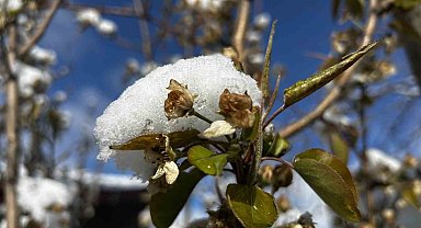 Soğuk hava ve yağışlar meyveyi olumsuz etkiledi, hububata can suyu oldu