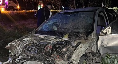 Söğütlü'de tarlaya uçan otomobildeki 4 kişi yaralandı