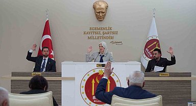 Sokak hayvanlarını sahiplendirme ve pasaport işlemleri için ücret belirlenmesi konusu görüşüldü