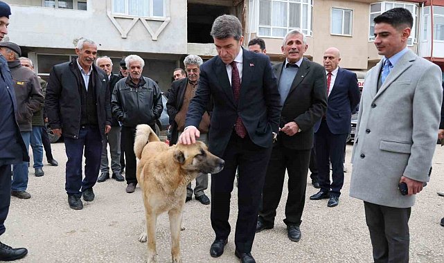 Sokak köpeğine devlet şefkati