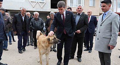 Sokak köpeğine devlet şefkati