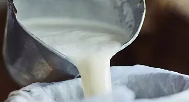 Şubat'ta süt ürünleri üretiminde düşüş... Ayran ve kefir üretimi yüzde 6,9 arttı