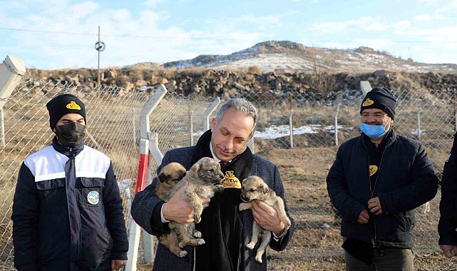 Talas'ta patili dostlara 5 yıldızlı barınma imkanı