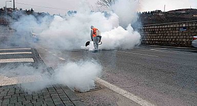 Talas'ta sinek ve haşerata erken önlem