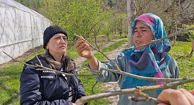 Tarım alanlarında "zarar tespit" incelemesi