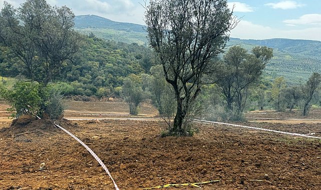 Tarım arazilerinizi koruyun, hisseli satışlara dikkat