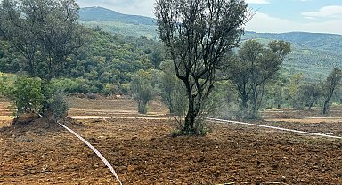 Tarım arazilerinizi koruyun, hisseli satışlara dikkat