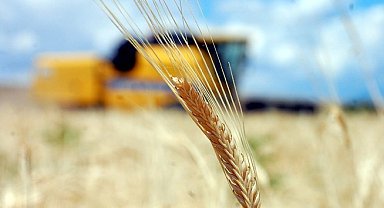 Tarım-GFE yıllık yüzde 28,92 arttı