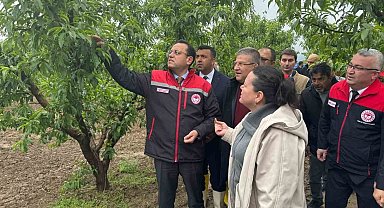 Tarım ve Orman Bakan Yardımcısı Gizligider, Denizli'de zirai dondan etkilenen tarımsal alanları inceledi