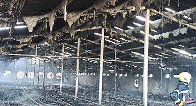 Tarsus'ta tavuk çiftliğinde yangın