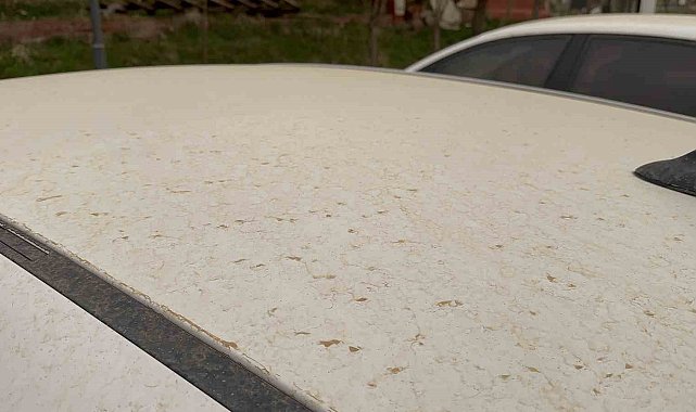 Tatvan'da araçlar çamurla kaplandı