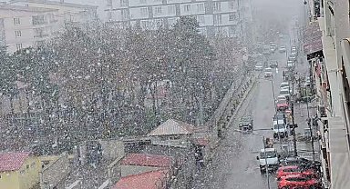 Tatvan'da kar yağışı etkili oluyor