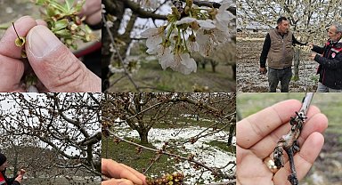 TBMM 'zirai don zararları'nı araştıracak
