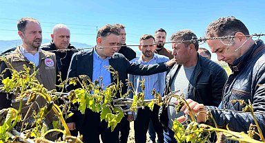 TBMM zirai dondan etkilenen üreticiler için adım attı