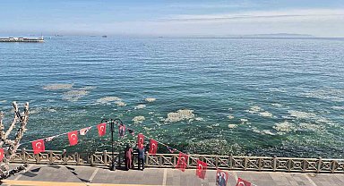 Tekirdağ kıyılarında müsilaj benzeri beyaz tabaka tedirgin etti