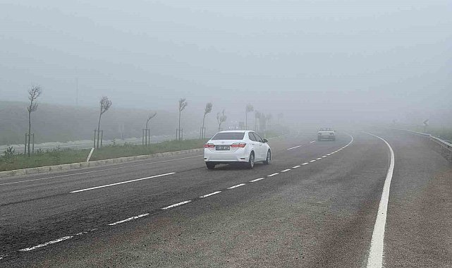 Tekirdağ'da yoğun sis sürücülere zor anlar yaşattı