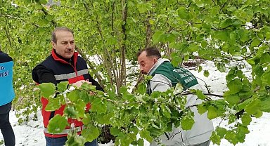 Terme'de hasar tespiti çalışmaları başladı