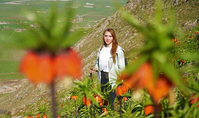 Ters laleler için 3 saat yürüdüler