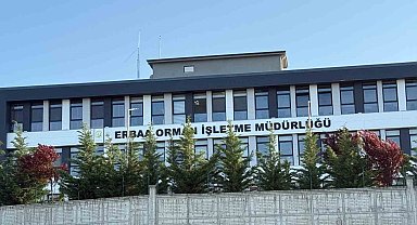 Tokat'ta jandarmadan yolsuzluk operasyonu: 7 gözaltı