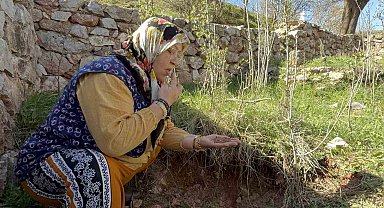 Tokat'ta türbenin toprağını yiyerek dua ediyorlar