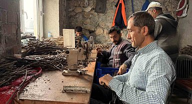 Tokat'ta üretilen narenciye üzümü fideleri 35 ile gönderiliyor