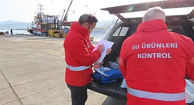 Trabzon'da belirlenen limitlerin altında avlanan balıkçılara 2 milyon 390 bin TL para cezası