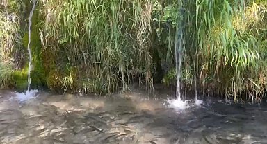 Türkiye'nin 23. doğa harikası Güney Şelalesi ziyaretçilerini bekliyor