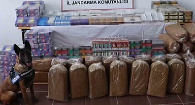Tütün arama köpeğiyle tırda yapılan aramada çok sayıda kaçak ürün ele geçirdi