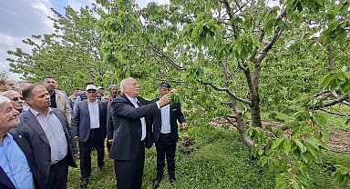 TZOB Başkanı Bayraktar, Akşehir'de zirai dondan etkilenen bahçeleri inceledi