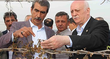 TZOB Genel Başkanı Bayraktar, Manisa'da don afeti sonrası bağlarda incelemelerde bulundu