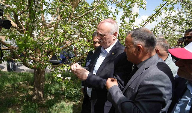 TZOB Genel Başkanı Bayraktar, Niğde'de zirai don zararı gören bahçeleri inceledi