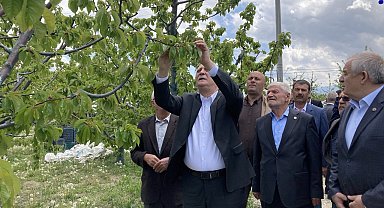 TZOB Genel Başkanı Şemsi Bayraktar: "3 gün süren don olayı maalesef ürünlerimizi ve üreticimizi perişan etti"