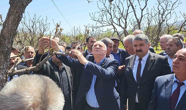 TZOB Genel Başkanı Şemsi Bayraktar zirai don vuran bahçeleri inceledi