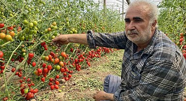 Üreticiden fiyat farkına tepki: "Domates bizden 15 TL'ye alınıyor marketlerde 70 TL'ye satılıyor. Aradaki farkı kim yiyor"