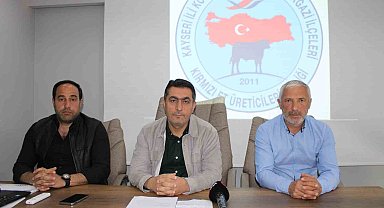 Üreticilere gebe düve desteği
