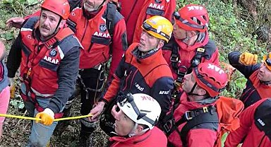 Üzerine ağaç devrildi, hayatını kaybetti