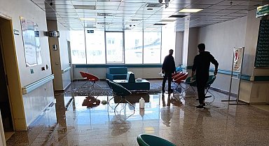 Van Ağız ve Diş Sağlığı Merkezi'nde temizlik çalışması yapıldı