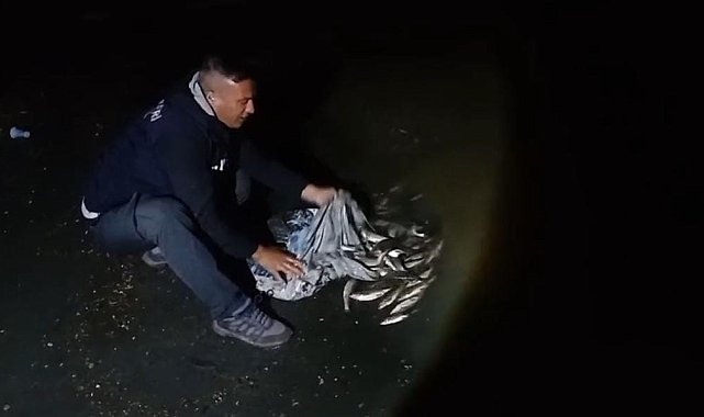 Van'da inci kefali göçü başladı: 60 kilo balığa el konuldu
